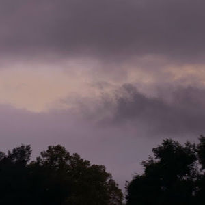 Meet your Posher, Piper